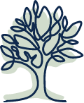 AE-tree-icon